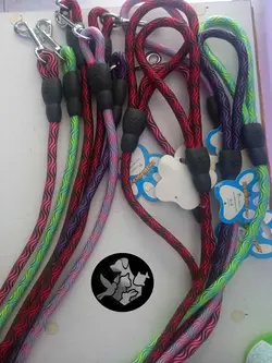 لید مخصوص سگ برند رها