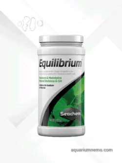 اکویلیبریم سیچم (Equilibrium)