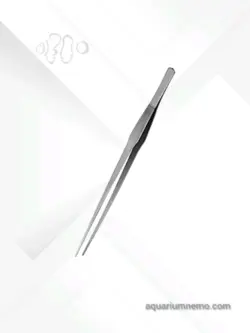 انواع پنس سر صاف