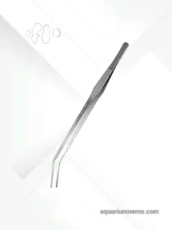 انواع پنس سر کج