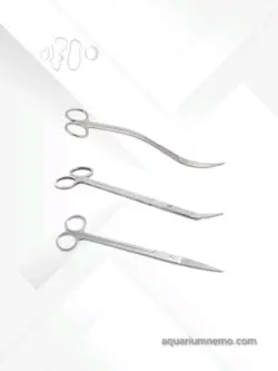 انواع قیچی پلنت