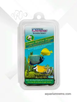 جلبک ورقه ای سبز اوشن نوتریشن