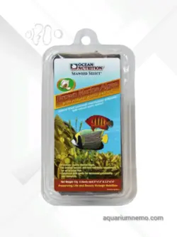 جلبک ورقه ای قهوه ای اوشن نوتریشن