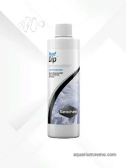 ریف دیپ (Reef Dip)