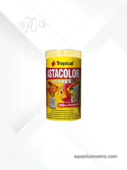 غذا پولکی آستاکالر تروپیکال 500 میل