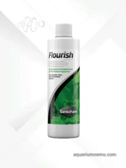 فلوریش (Flourish)