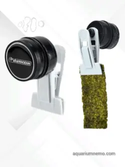 گیره نگهدارنده جلبک مگنتی وست اوشن