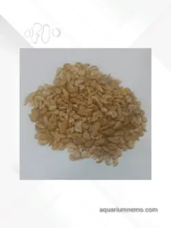 میگو گاماروس