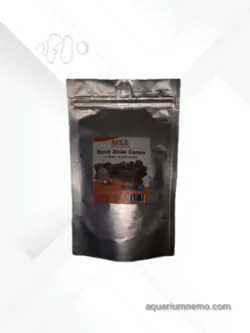 میوه درخت توسکا ام اف آکوا