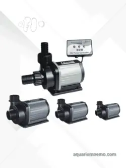 واتر پمپ جیکود سری dcs