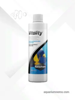 ویتالیتی سیچم (Vitality)