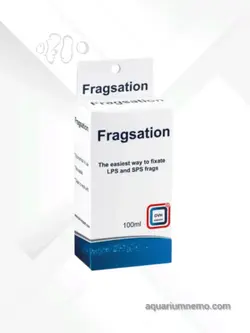 فرگ سیشن (fragsation)