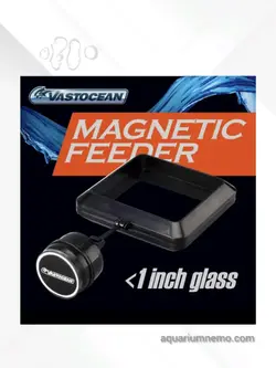 ایستگاه غذادهی وست اوشن