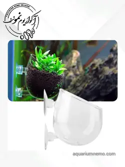 گلدان شیشه ای اکواریوم