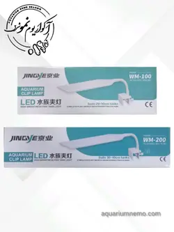 نور گیره ای جینگی