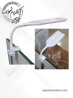 نور گیره ای جینگی