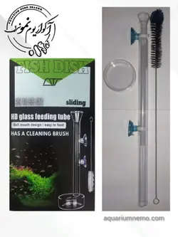 فیش دیش تهران شریمپ