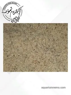 شن ماسه ساحلی ابشور