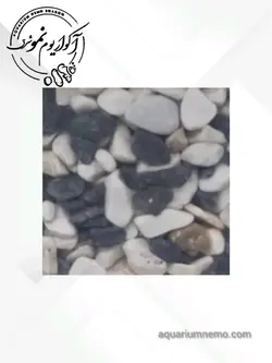 شن دورنگ سفید مشکی