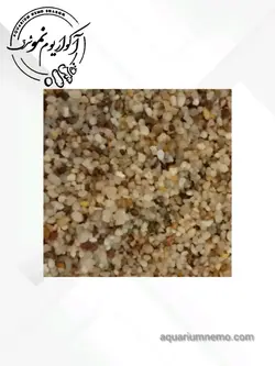 شن عربی