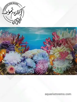 تصویر پس زمینه پشت اکواریوم ارتفاع 60 سانتی متر