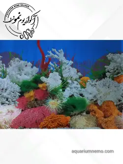 تصویر پس زمینه پشت اکواریوم ارتفاع 60 سانتی متر