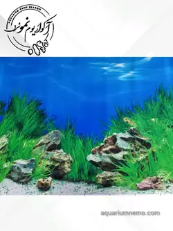 تصویر پس زمینه پشت اکواریوم ارتفاع 60 سانتی متر