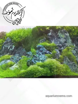 تصویر پس زمینه پشت اکواریوم ارتفاع 40 سانتی متر