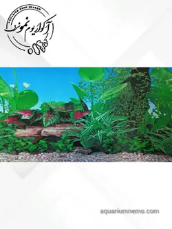 تصویر پس زمینه پشت اکواریوم ارتفاع 40 سانتی متر