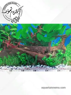 تصویر پس زمینه پشت اکواریوم ارتفاع 40 سانتی متر
