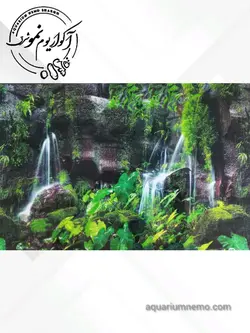 تصویر پس زمینه پشت اکواریوم ارتفاع 30 سانتی متر