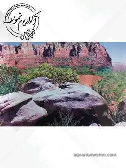 تصویر پس زمینه پشت اکواریوم ارتفاع 30 سانتی متر