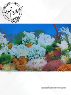 تصویر پس زمینه پشت اکواریوم ارتفاع 30 سانتی متر