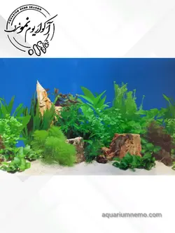تصویر پس زمینه پشت اکواریوم ارتفاع 30 سانتی متر