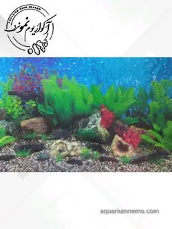 تصویر پس زمینه پشت اکواریوم ارتفاع 30 سانتی متر