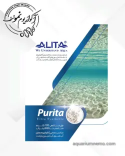 پیوریتایک رزین