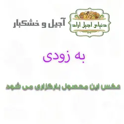 نخود چی خام