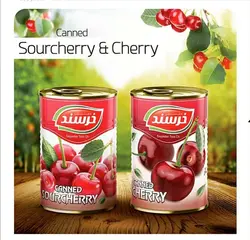 خرسند کمپوت گیلاس 24 عددی