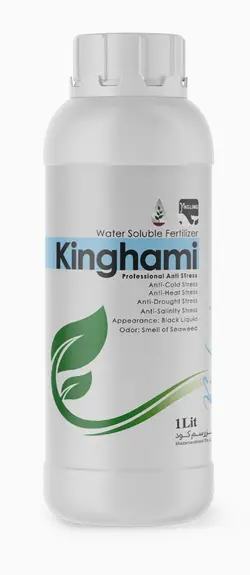 کود کینگ همی