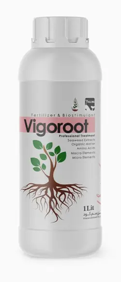 کود ویگوروت