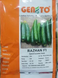 بذر خیار راژان