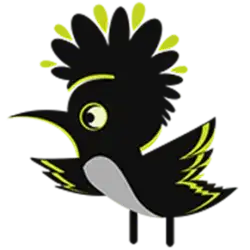 گروه تولیدی پوپک