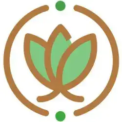 بهفرچوب